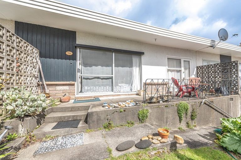 Photo of property in 73a Great North Road, Saint Johns Hill, Whanganui, 4501