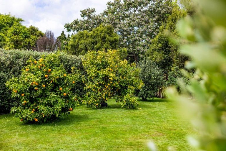 Photo of property in 10 Flora Lane, Tamahere, Hamilton, 3283