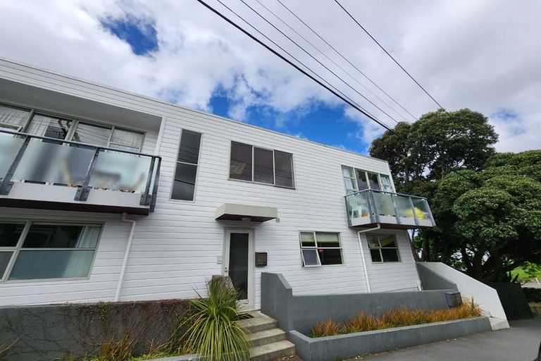 Photo of property in 203 Tasman Street, Mount Cook, Wellington, 6021