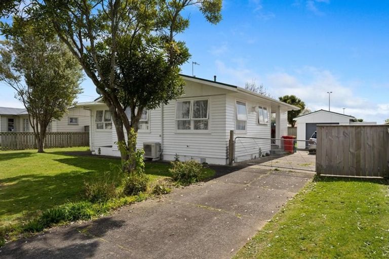 Photo of property in 21 Cornwall Street, Levin, 5510