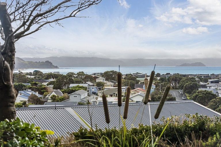 Photo of property in 41a Mantell Street, Seatoun, Wellington, 6022