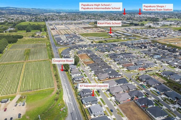 Photo of property in 47 Sapwood Crescent, Takanini, 2110