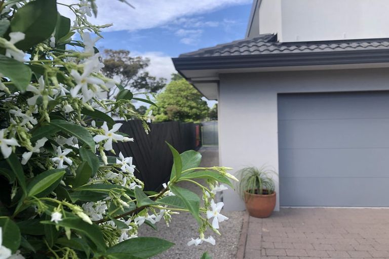 Photo of property in 222a Oceanbeach Road, Mount Maunganui, 3116