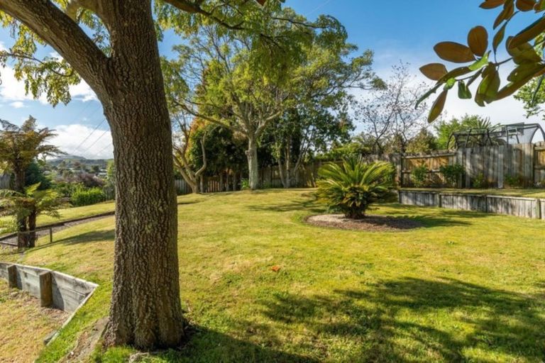 Photo of property in 175 Sapphire Drive, Hairini, Tauranga, 3112