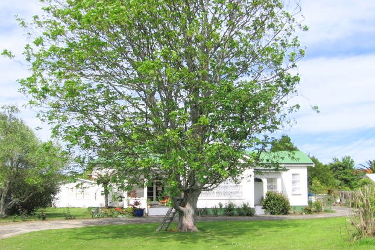 Photo of property in 112 Oak Street, Mangapapa, Gisborne, 4010