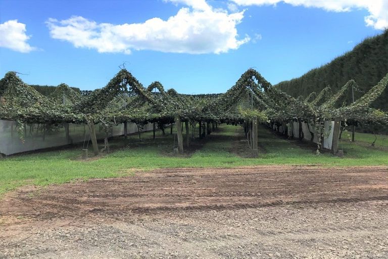 Photo of property in 238 Wilson Road North, Paengaroa, Te Puke, 3189