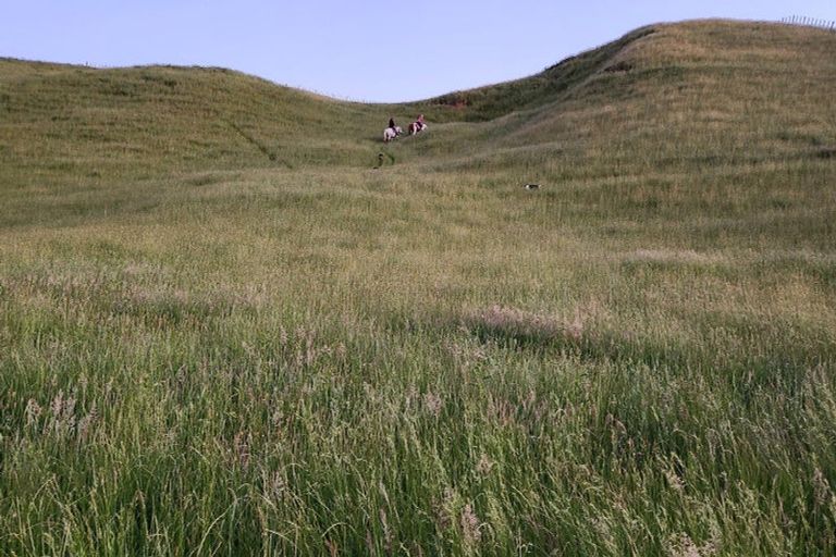 Photo of property in 964 Tarata Road, Kaimata, 4387