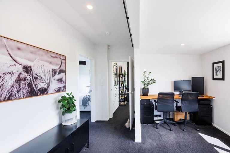 Photo of property in 57 Wapiti Avenue, Feilding, 4775