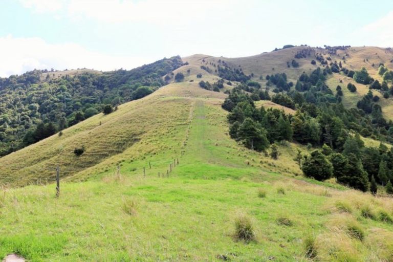 Photo of property in 1008 Tangowahine Valley Road, Tangowahine, Dargaville, 0372