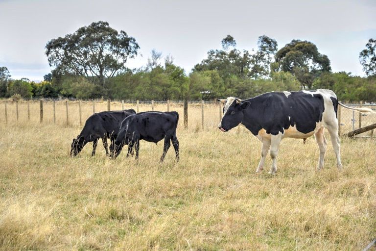 Photo of property in 48 Jordan Road, Waingawa, Carterton, 5791