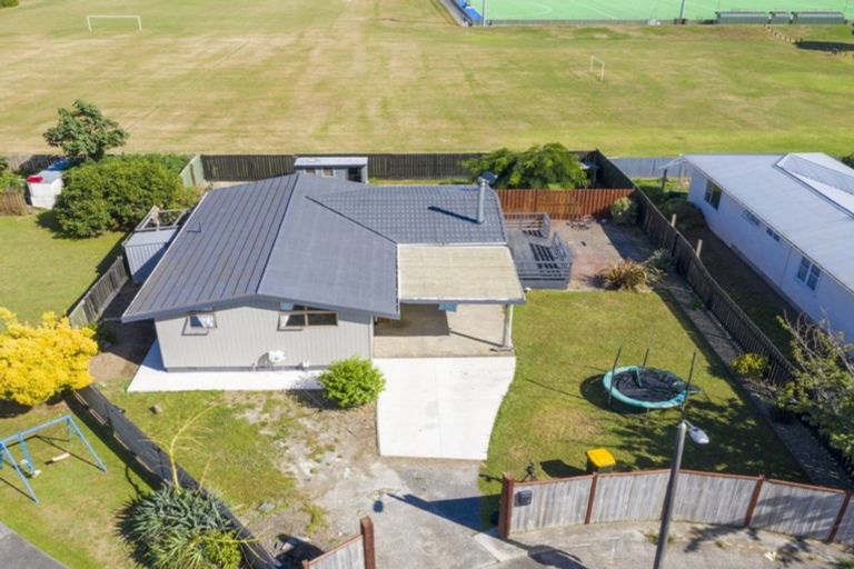 Photo of property in 6 Drake Street, Levin, 5510