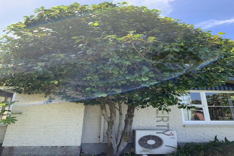 Photo of property in 12 Delph Street, Avonhead, Christchurch, 8042