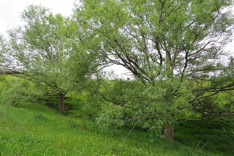 Photo of property in 289 Franklin Road, Paparoa, 0571