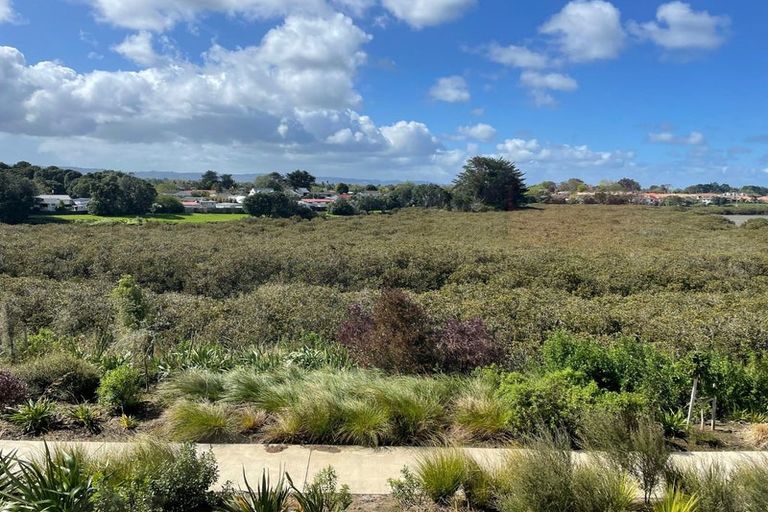 Photo of property in 68 Matawhanga Drive, Wattle Downs, Auckland, 2103