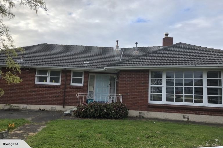 Photo of property in 151 Kings Crescent, Hutt Central, Lower Hutt, 5010