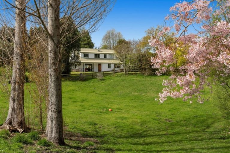 Photo of property in 121b Plummers Point Road, Whakamarama, Tauranga, 3172