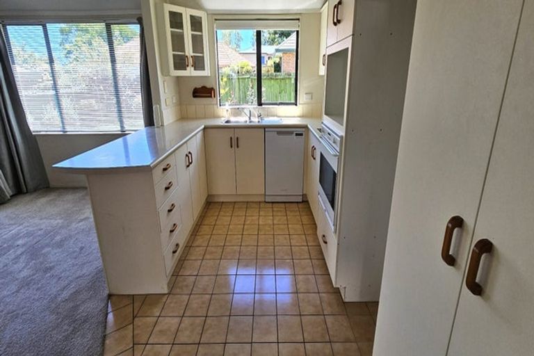 Photo of property in 169c Maungatapu Road, Maungatapu, Tauranga, 3112