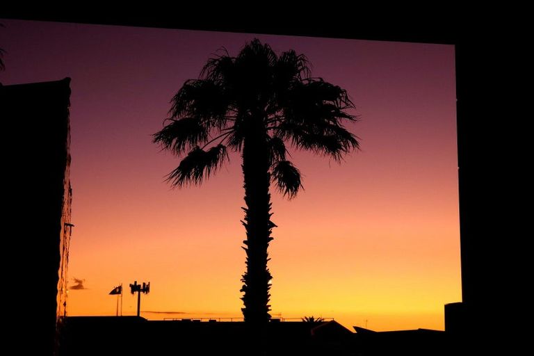 Photo of property in Paramount Apartments, 4/281 Maunganui Road, Mount Maunganui, 3116