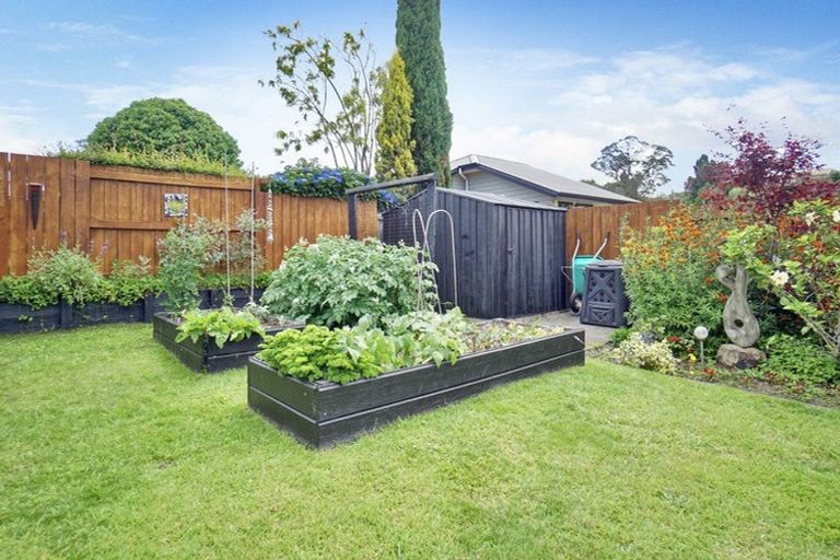 Photo of property in 6 Norm Freeman Drive, Te Puke, 3119