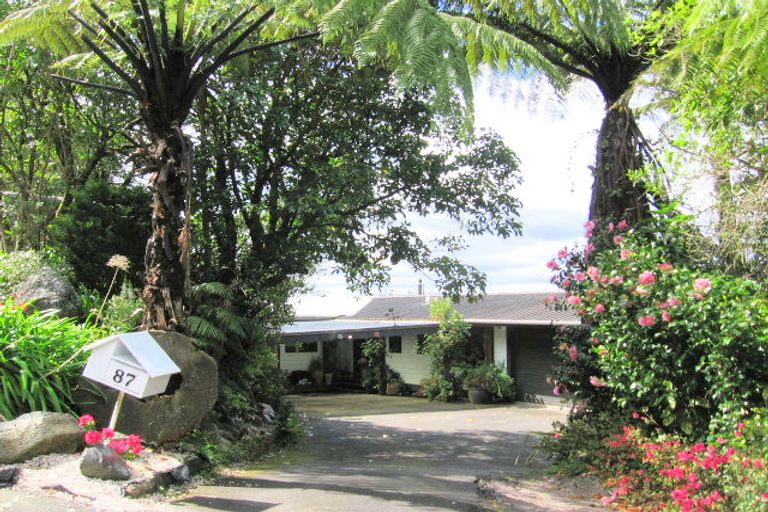 Photo of property in 87 Mountain Road, Western Heights, Rotorua, 3015