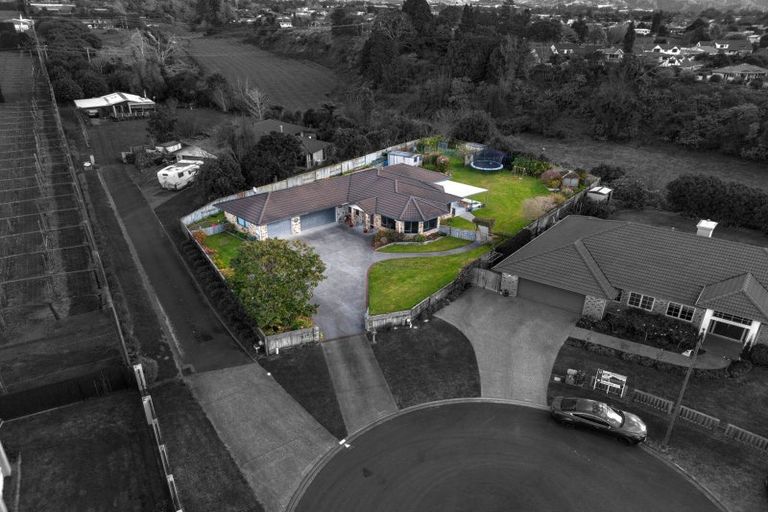 Photo of property in 7 Donelle Place, Te Puke, 3119