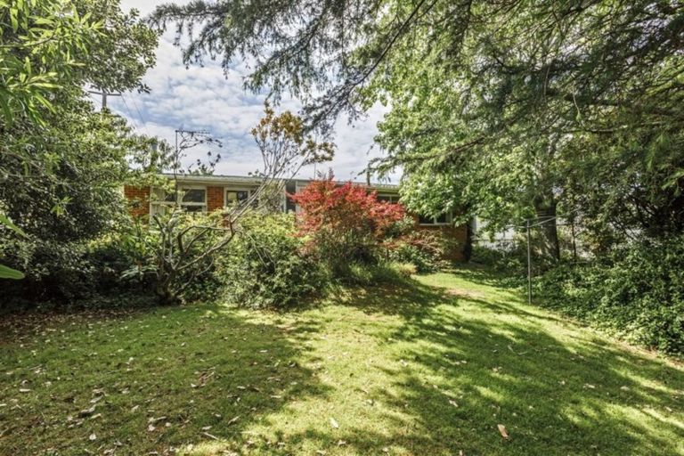 Photo of property in 156 Sunset Road, Unsworth Heights, Auckland, 0632