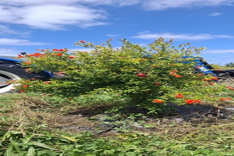 Photo of property in 49 Takahiwai Road, Ruakaka, 0171