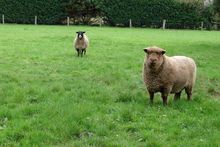 Photo of property in 286 Bay Road, West Plains, Invercargill, 9879