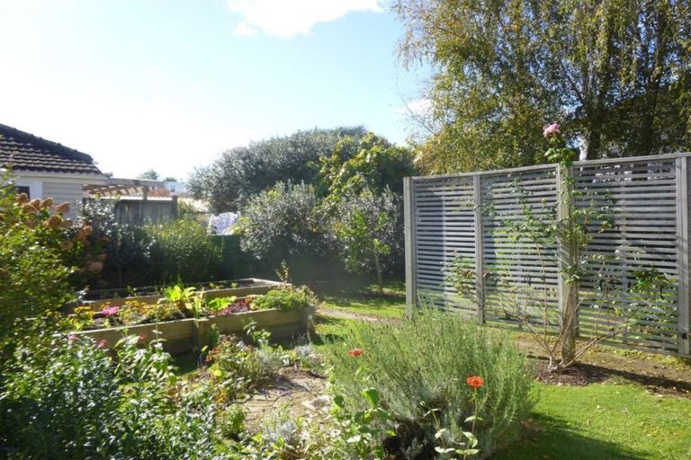 Photo of property in 38 Graham Street, Hamilton East, Hamilton, 3216