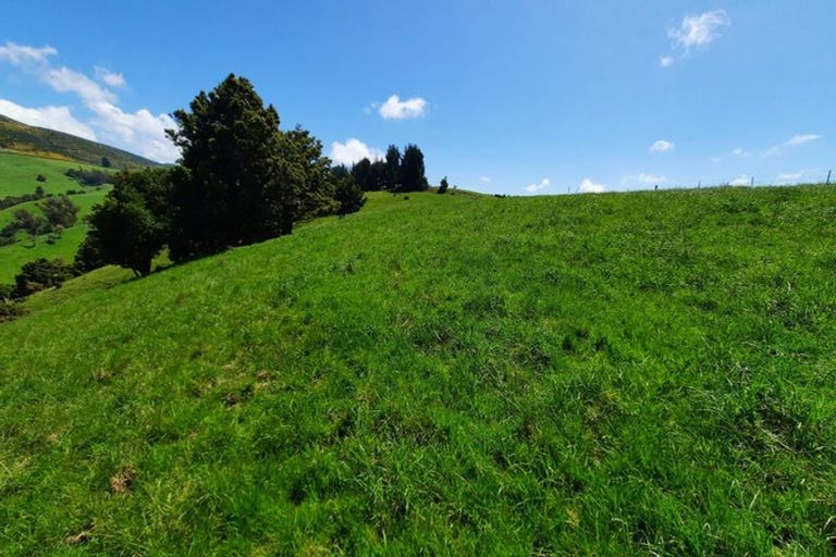 Photo of property in 183 Gunn Road, Warepa, Balclutha, 9273