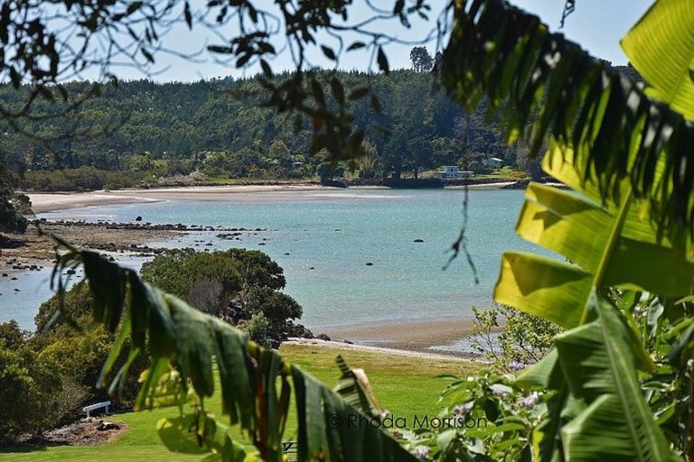 Photo of property in 14 Komiti Road, Tinopai, Matakohe, 0593