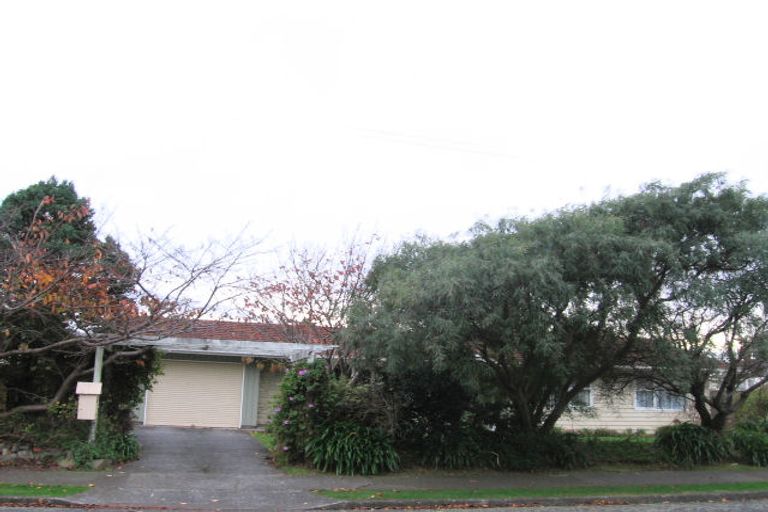 Photo of property in 43 Rimu Street, Waikanae, 5036