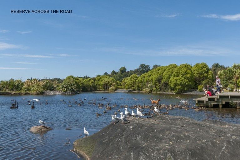 Photo of property in 164 Carmichael Road, Bethlehem, Tauranga, 3110