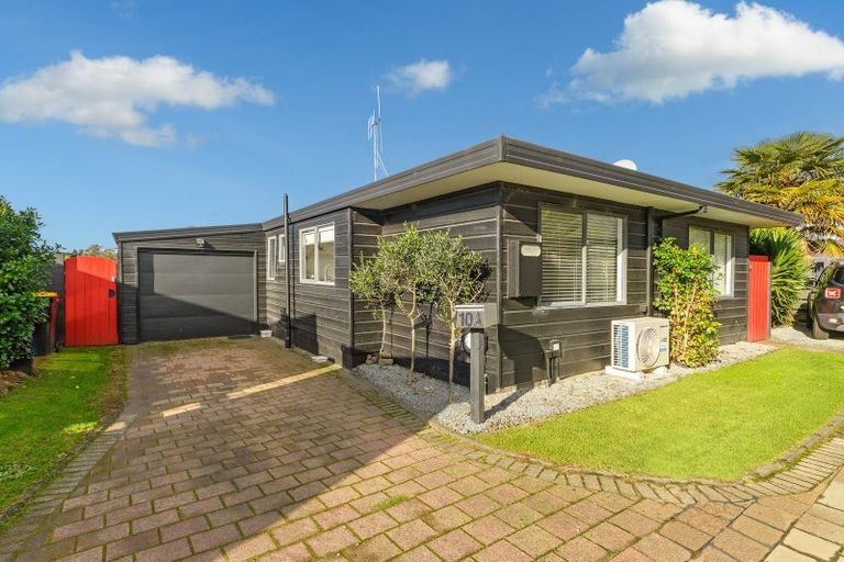 Photo of property in 10a College Place, Poike, Tauranga, 3112
