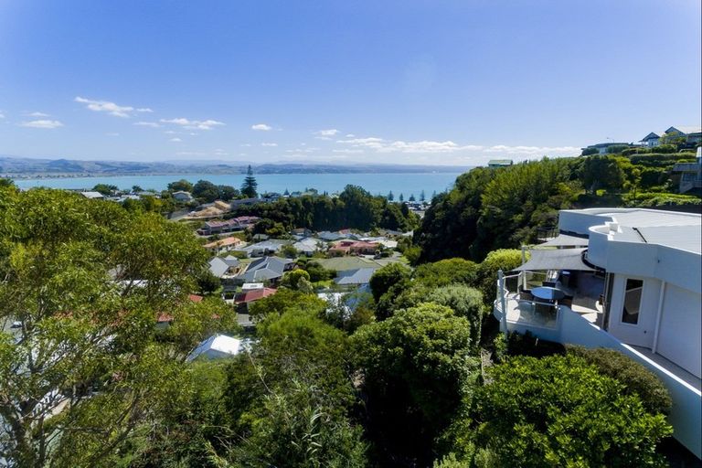Photo of property in 6 Roslyn Road, Bluff Hill, Napier, 4110