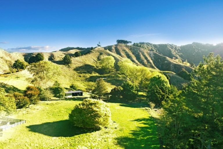 Photo of property in 453 Kururau Road, Taumarunui, 3991