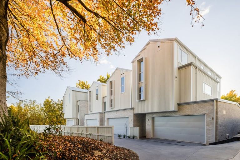 Photo of property in 3/2 Woodstock Road, Fairfield, Hamilton, 3214