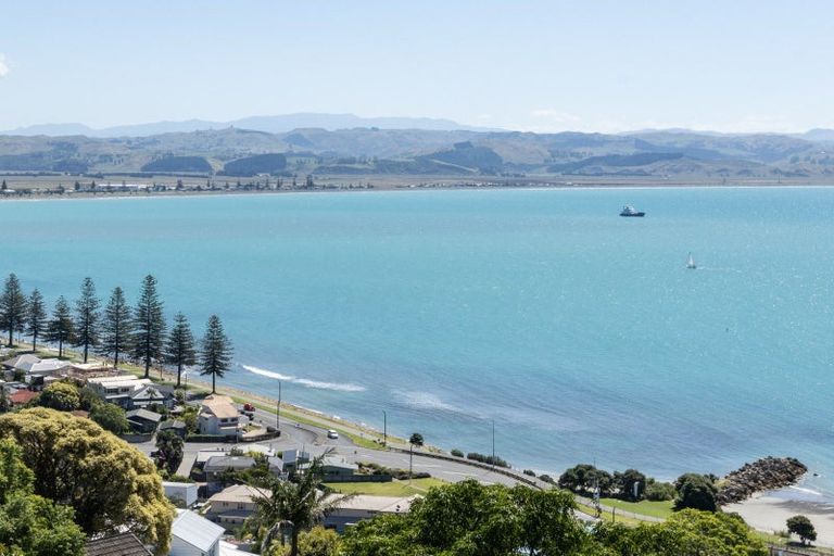 Photo of property in 157 Thompson Road, Bluff Hill, Napier, 4110