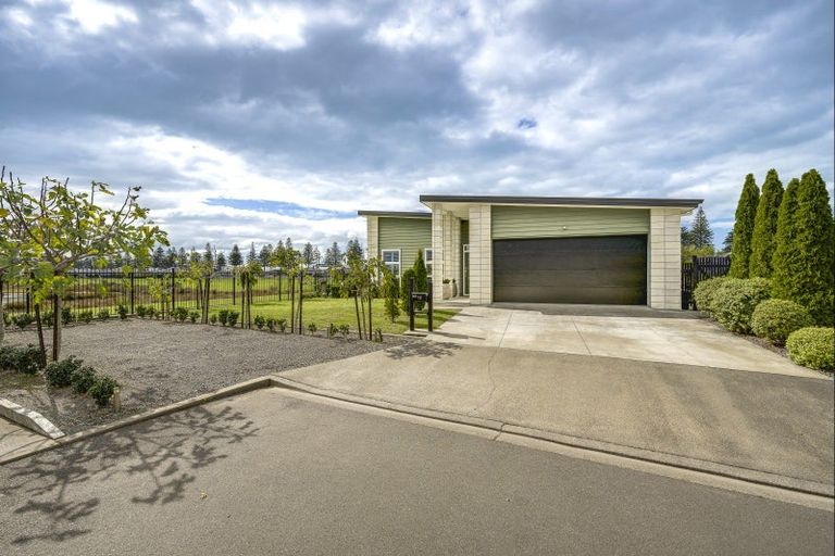 Photo of property in 19 Aparima Place, Awatoto, Napier, 4110