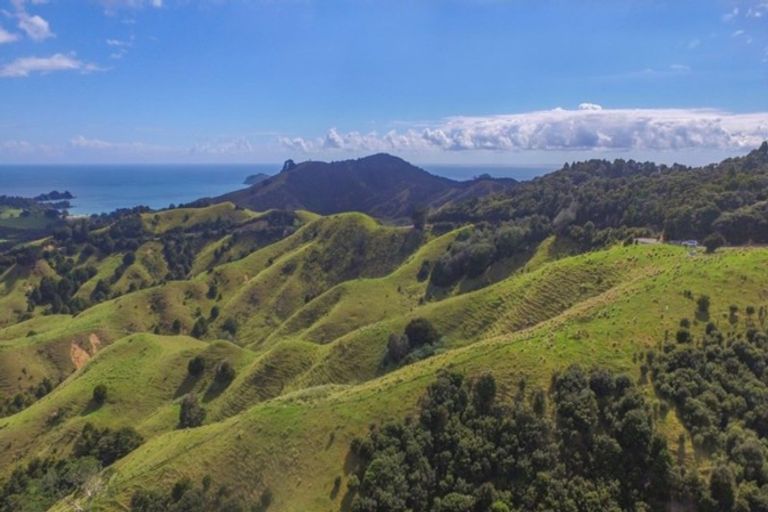 Photo of property in 15 Webb Road, Durie Hill, Whanganui, 4500