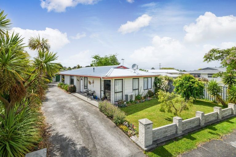 Photo of property in 23 Mountfort Grove, Feilding, 4702