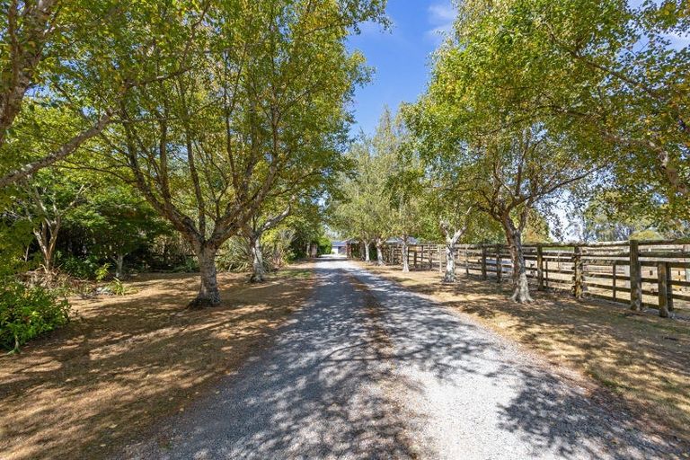 Photo of property in 203 West Bush Road, Upper Plain, Masterton, 5888