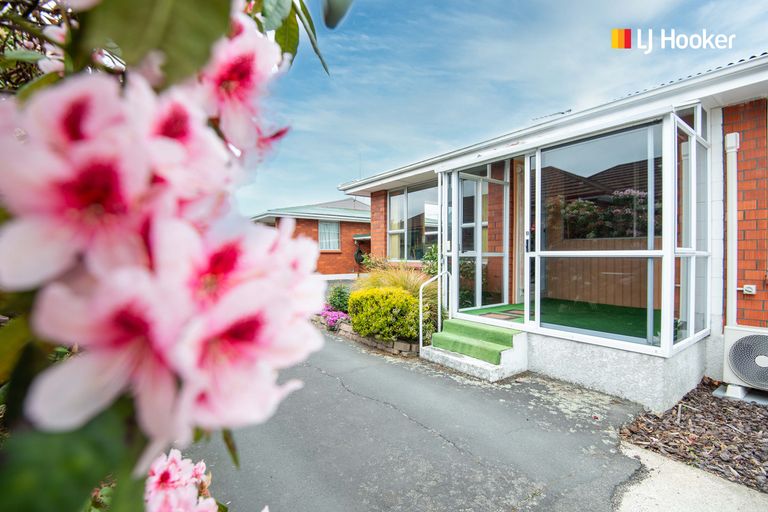 Photo of property in 37 King Street, Mosgiel, 9024