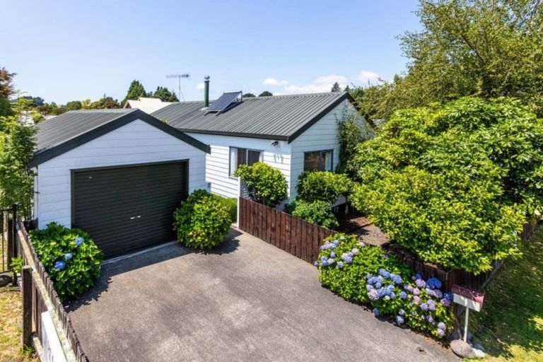 Photo of property in 29 Kutai Street, Turangi, 3334