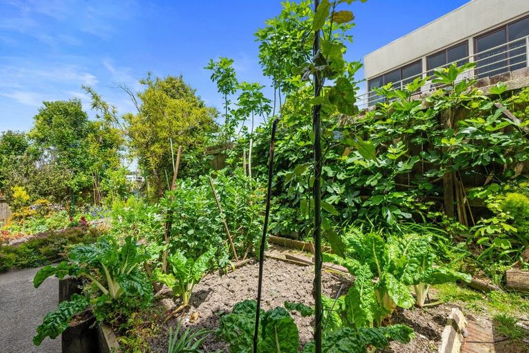 Photo of property in 2/51 Deep Creek Road, Waiake, Auckland, 0630