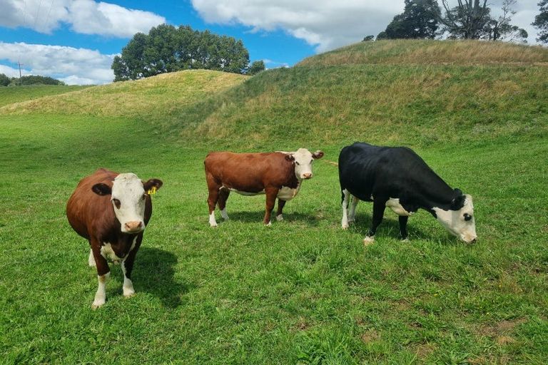 Photo of property in 358 Mangaotaki Road, Piopio, 3971