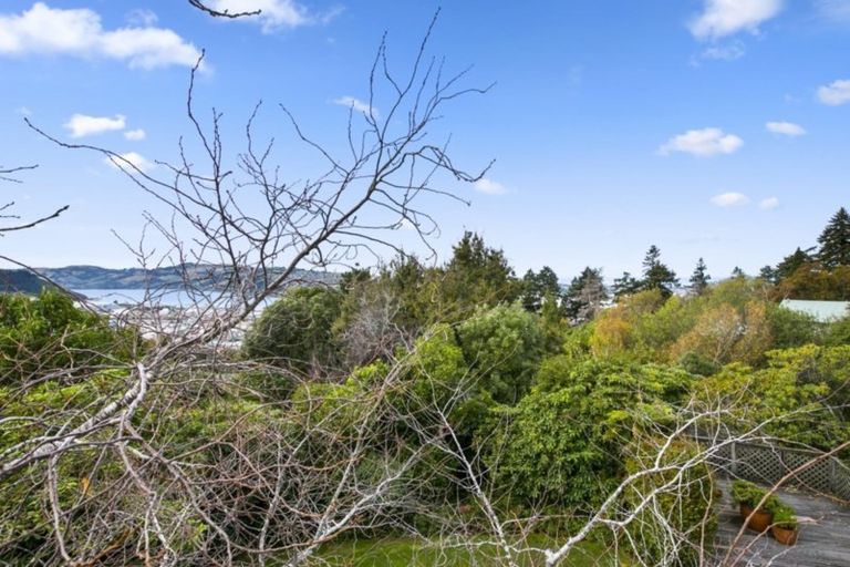 Photo of property in 365 Stuart Street, Roslyn, Dunedin, 9010