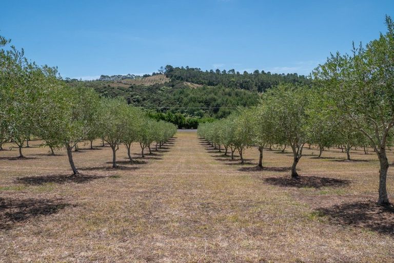 Photo of property in 72 Leccino Valley Road, Mangonui, 0494