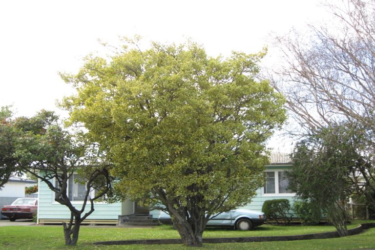 Photo of property in 1 Upham Street, Havelock North, 4130