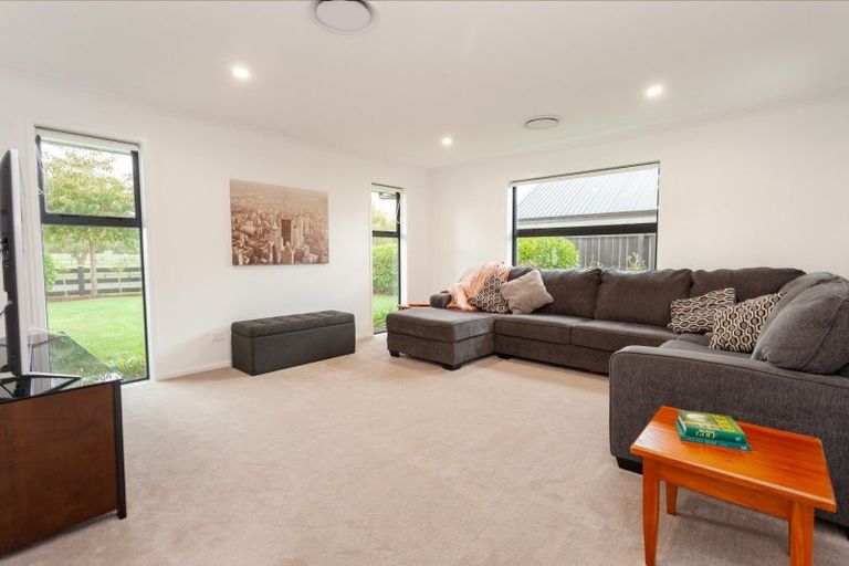 Photo of property in 35 Banks Road, Matamata, 3400